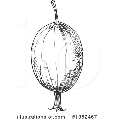 Royalty-Free (RF) Gooseberry Clipart Illustration by Vector Tradition SM - Stock Sample #1382467