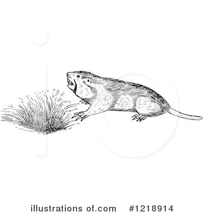 Royalty-Free (RF) Gopher Clipart Illustration by Picsburg - Stock Sample #1218914