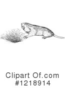 Gopher Clipart #1218914 by Picsburg