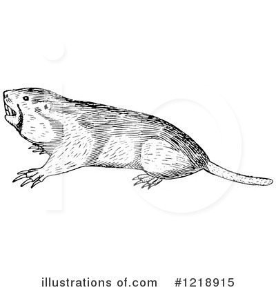 Royalty-Free (RF) Gopher Clipart Illustration by Picsburg - Stock Sample #1218915