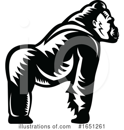 Gorillas Clipart #1651261 by patrimonio