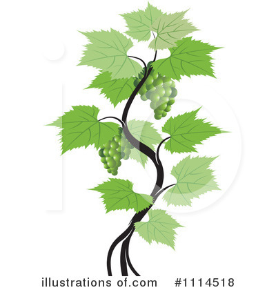 Royalty-Free (RF) Grape Vine Clipart Illustration by Lal Perera - Stock Sample #1114518