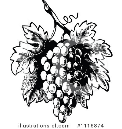 Royalty-Free (RF) Grapes Clipart Illustration by Prawny Vintage - Stock Sample #1116874