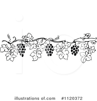 Grapes Clipart #1120372 by Prawny Vintage
