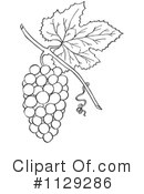 Grapes Clipart #1129286 by Picsburg