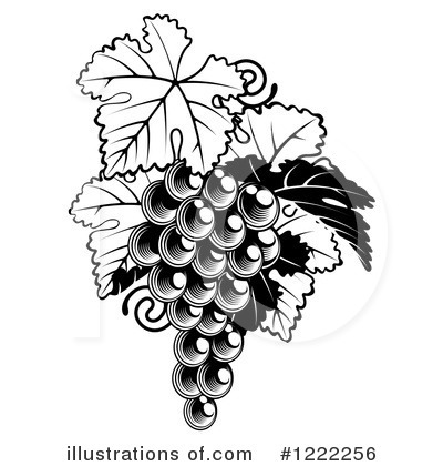 Grapes Clipart #1222256 by AtStockIllustration