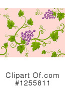Grapes Clipart #1255811 by BNP Design Studio