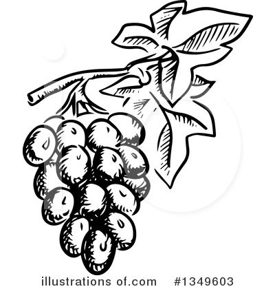 Royalty-Free (RF) Grapes Clipart Illustration by Vector Tradition SM - Stock Sample #1349603