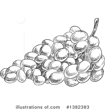 Royalty-Free (RF) Grapes Clipart Illustration by Vector Tradition SM - Stock Sample #1382383