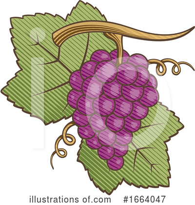 Royalty-Free (RF) Grapes Clipart Illustration by Any Vector - Stock Sample #1664047