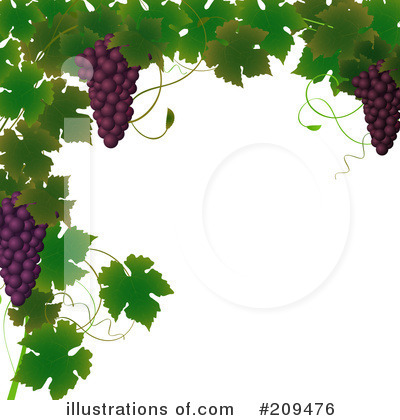 Vine Clipart #209476 by elaineitalia