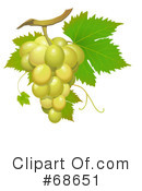 Grapes Clipart #68651 by Oligo