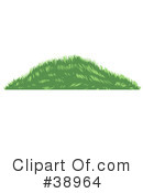 Grass Clipart #38964 by Tonis Pan