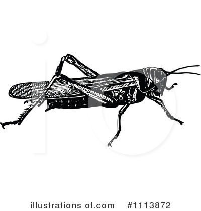 Royalty-Free (RF) Grasshopper Clipart Illustration by Prawny Vintage - Stock Sample #1113872