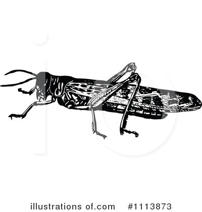 Royalty-Free (RF) Grasshopper Clipart Illustration by Prawny Vintage - Stock Sample #1113873