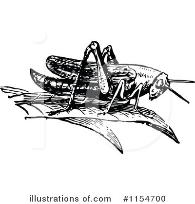 Royalty-Free (RF) Grasshopper Clipart Illustration by Prawny Vintage - Stock Sample #1154700