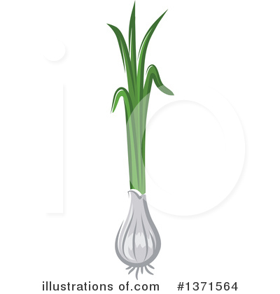 Green Onions Clipart #1371564 by Vector Tradition SM