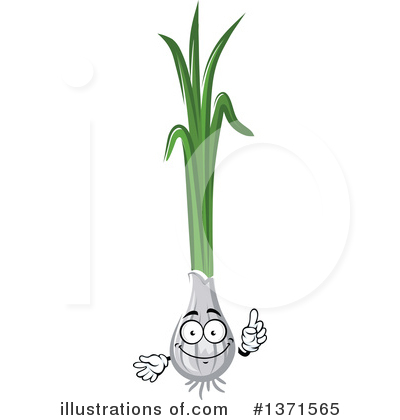Green Onions Clipart #1371565 by Vector Tradition SM