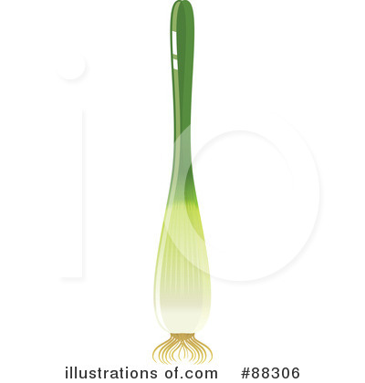 Onion Clipart #88306 by Tonis Pan