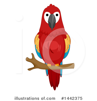 Macaw Clipart #1442375 by BNP Design Studio