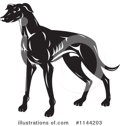 Royalty-Free (RF) Greyhound Clipart Illustration by patrimonio - Stock Sample #1144203