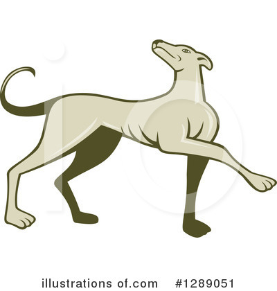 Royalty-Free (RF) Greyhound Clipart Illustration by patrimonio - Stock Sample #1289051