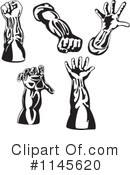 Hands Clipart #1145620 by patrimonio