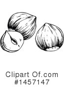 Hazelnut Clipart #1457147 by Vector Tradition SM