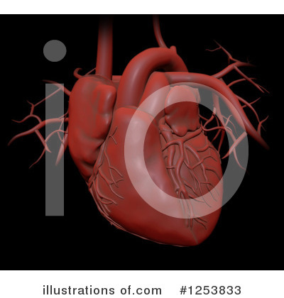 Human Heart Clipart #1253833 by Mopic