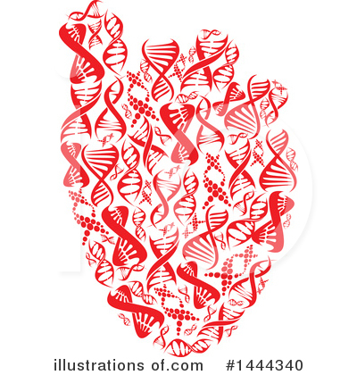Human Heart Clipart #1444340 by Vector Tradition SM