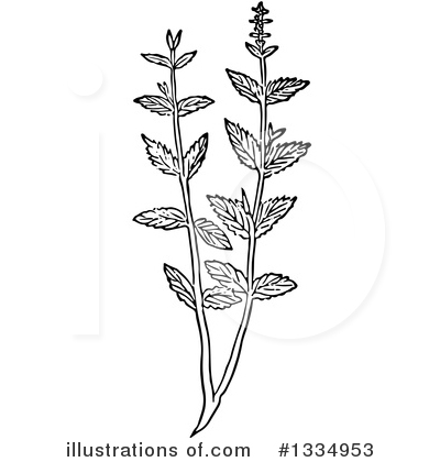 Herb Clipart #1334953 by Picsburg