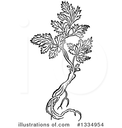 Plant Clipart #1334954 by Picsburg