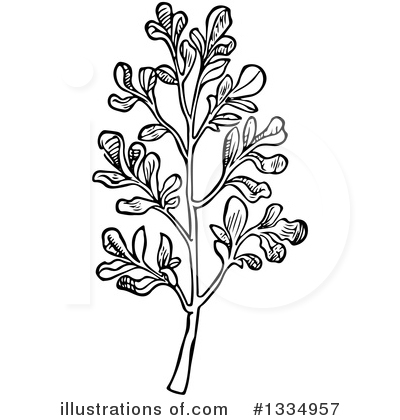 Herb Clipart #1334957 by Picsburg