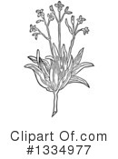 Herb Clipart #1334977 by Picsburg