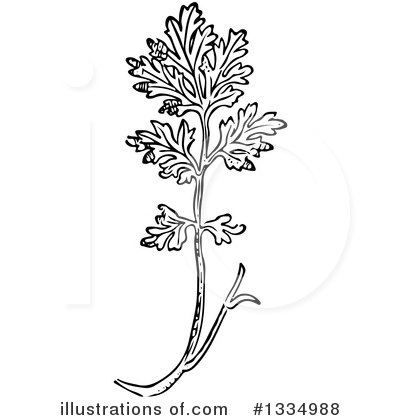 Royalty-Free (RF) Herb Clipart Illustration by Picsburg - Stock Sample #1334988