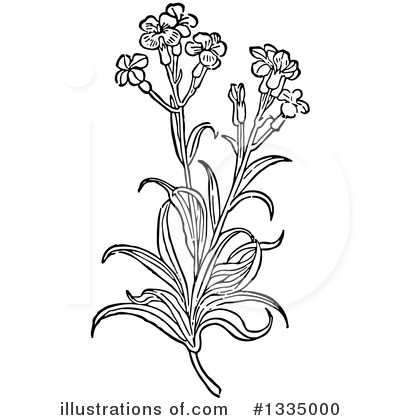 Royalty-Free (RF) Herb Clipart Illustration by Picsburg - Stock Sample #1335000