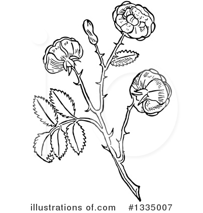 Roses Clipart #1335007 by Picsburg