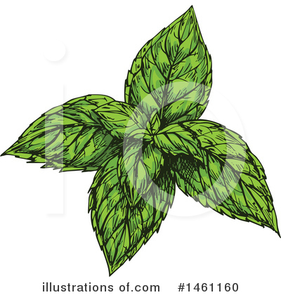 Peppermint Clipart #1461160 by Vector Tradition SM