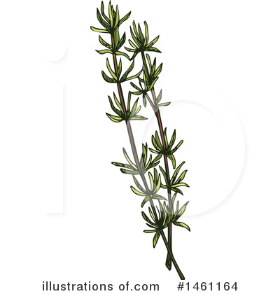 Royalty-Free (RF) Herb Clipart Illustration by Vector Tradition SM - Stock Sample #1461164
