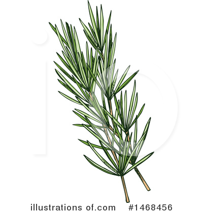 Royalty-Free (RF) Herb Clipart Illustration by Vector Tradition SM - Stock Sample #1468456