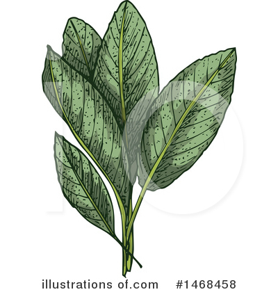 Royalty-Free (RF) Herb Clipart Illustration by Vector Tradition SM - Stock Sample #1468458