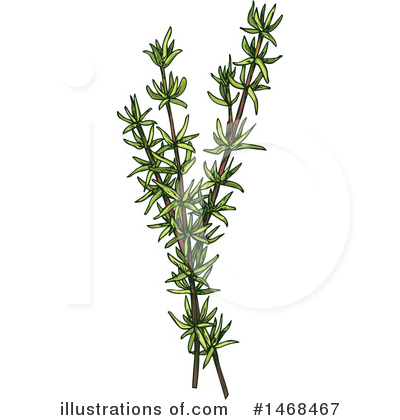 Royalty-Free (RF) Herb Clipart Illustration by Vector Tradition SM - Stock Sample #1468467