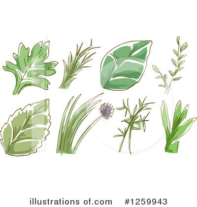 Royalty-Free (RF) Herbs Clipart Illustration by BNP Design Studio - Stock Sample #1259943