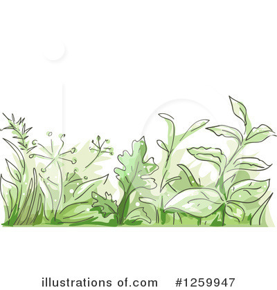 Royalty-Free (RF) Herbs Clipart Illustration by BNP Design Studio - Stock Sample #1259947