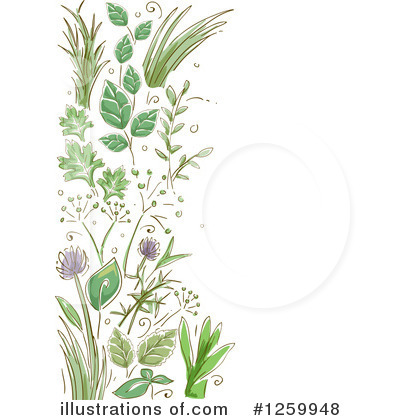 Royalty-Free (RF) Herbs Clipart Illustration by BNP Design Studio - Stock Sample #1259948