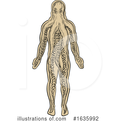 Anatomy Clipart #1635992 by patrimonio