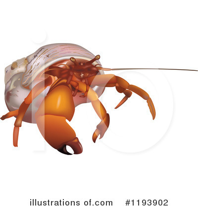 Royalty-Free (RF) Hermit Crab Clipart Illustration by dero - Stock Sample #1193902