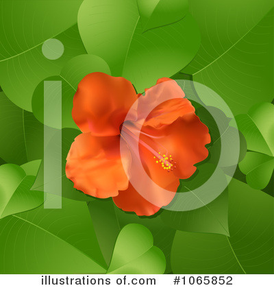 Royalty-Free (RF) Hibiscus Clipart Illustration by elaineitalia - Stock Sample #1065852