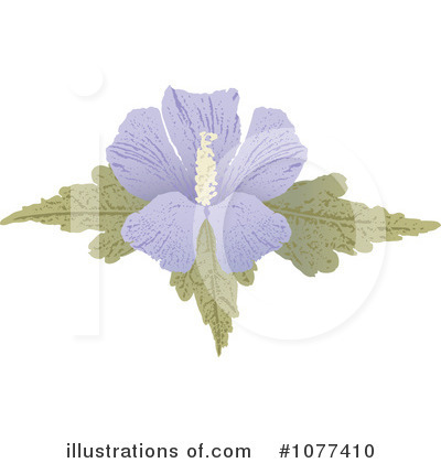 Hibiscus Clipart #1077410 by Any Vector