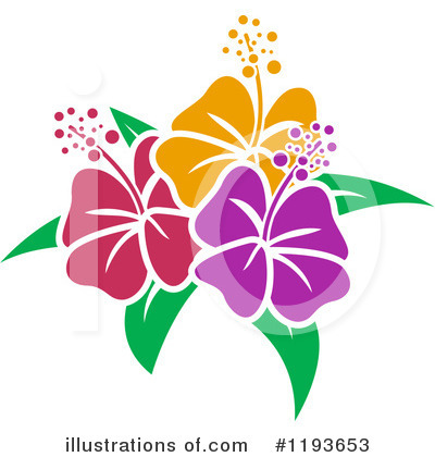 Hibiscus Clipart #1193653 by BNP Design Studio